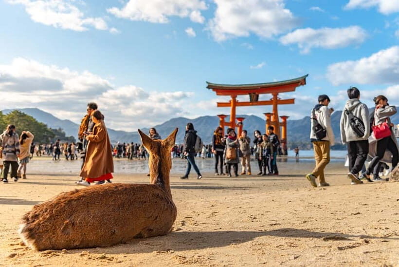 Day Trip to Hiroshima & Miyajima with Itsukushima Shrine - Key Takeaways Before You Go