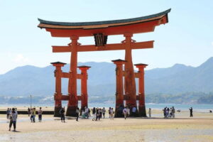 Day Trip to Hiroshima & Miyajima with Itsukushima Shrine - How the Tour Handles Miyajima Free Time (Deer, Temples, Snacks)