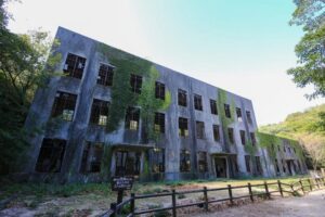 From Hiroshima: Rabbit Island and Takehara Town Tour - Saihoji and the Matsusaka Residence: Edo-era buildings you can actually understand