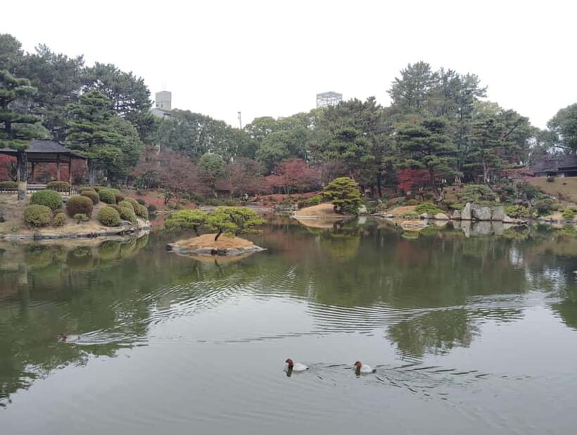 Hiroshima: Shukkei-en Garden with local guide 90min - Arriving at Shrink-Garden mode: what you’ll notice right away