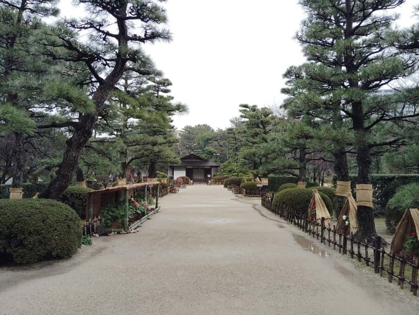 Hiroshima: Shukkei-en Garden with local guide 90min - Curved stone bridge: the photo moment that’s also a viewpoint
