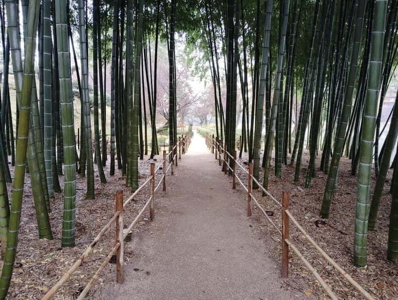 Hiroshima: Shukkei-en Garden with local guide 90min - The moon-viewing stage: quiet, seasonal meaning