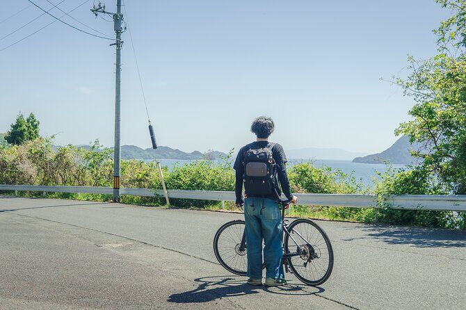 Savor Setouchi inland sea Local Food & Bike Tour with Local Guide - Price and value: what $162.58 actually buys you